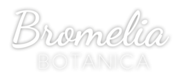 Bromelia Botanica Logo